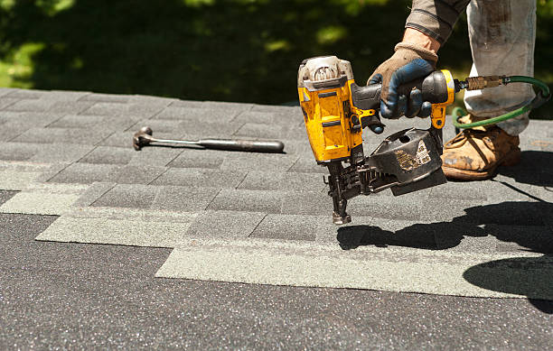 Best Roof Maintenance and Cleaning  in Bushnell, IL